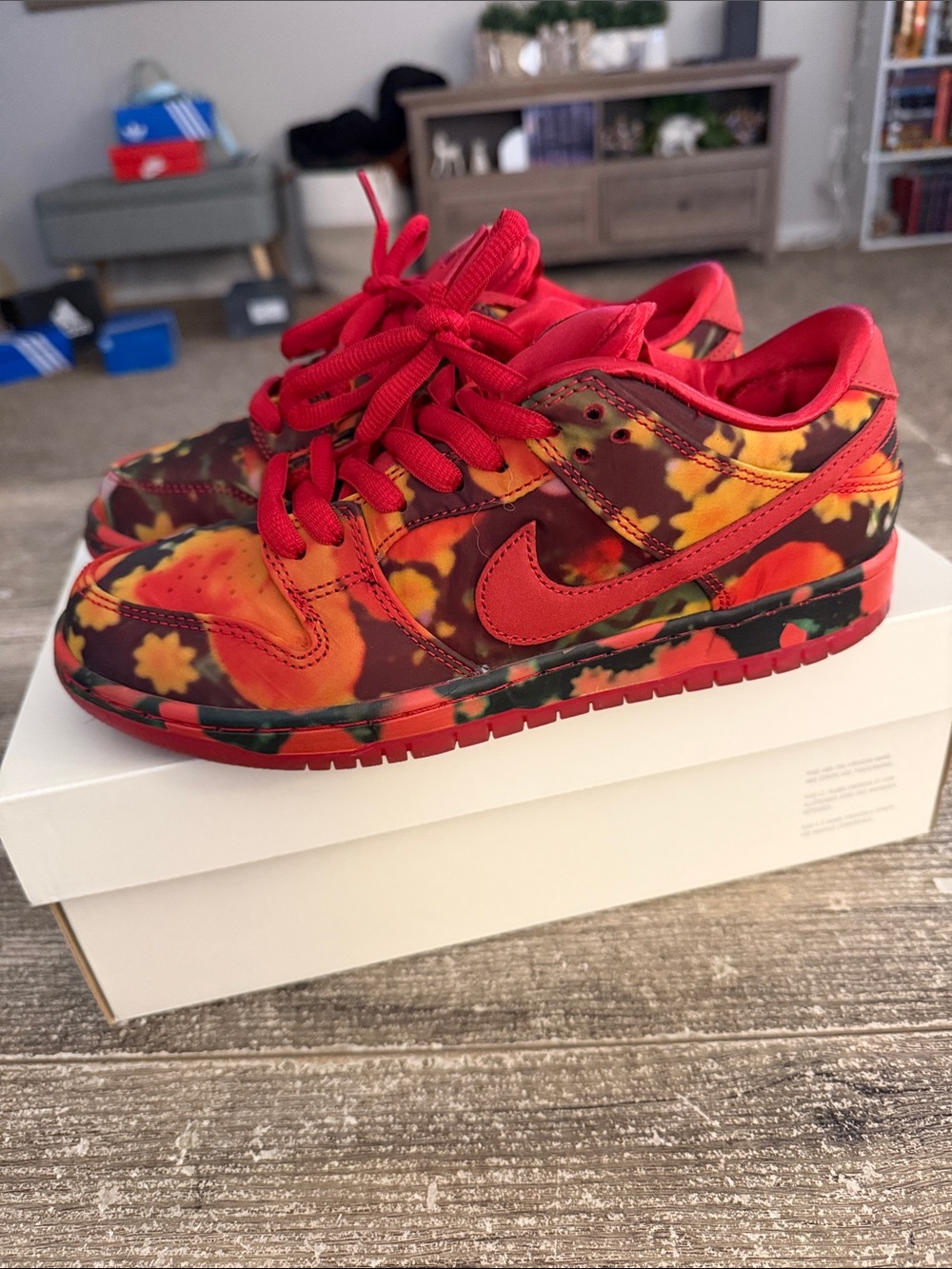 Nike SB Dunk Low x The Wizard of Oz ‘Poppy Field’ sneakers
